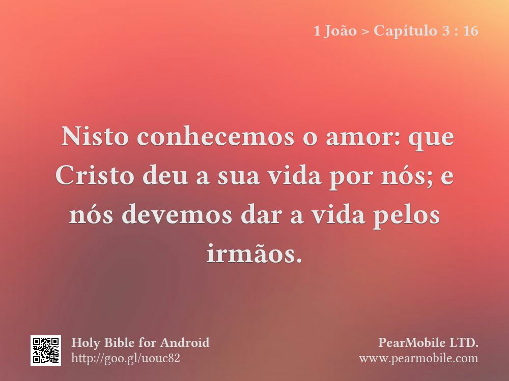 1 João, Capítulo 3:16